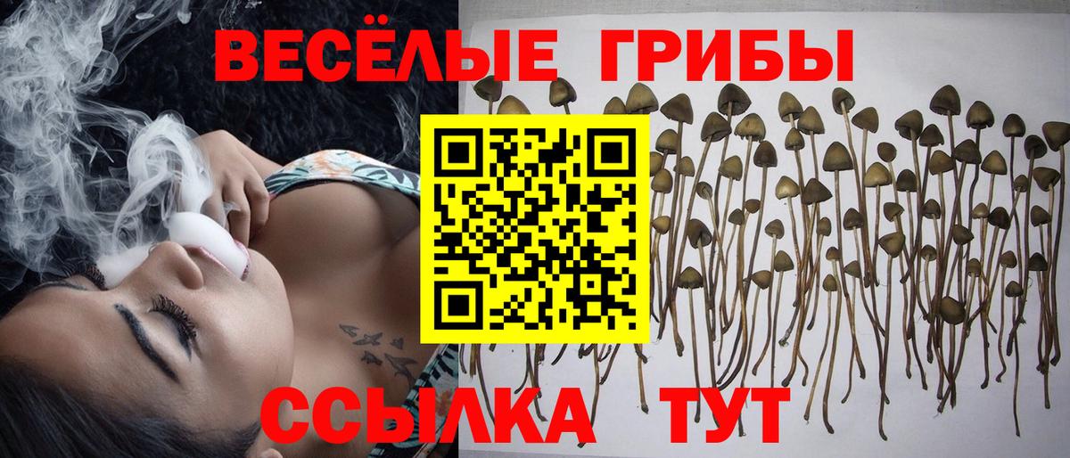 Галлюциногенные грибы прущие грибы Коммунар